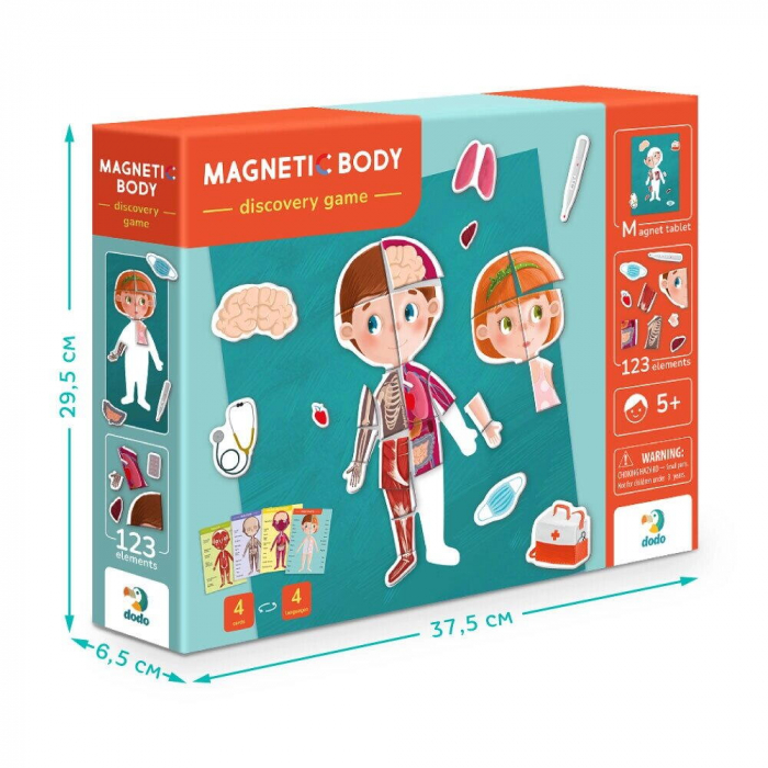 Dodo Joc magnetic - Descopera corpul uman [4]