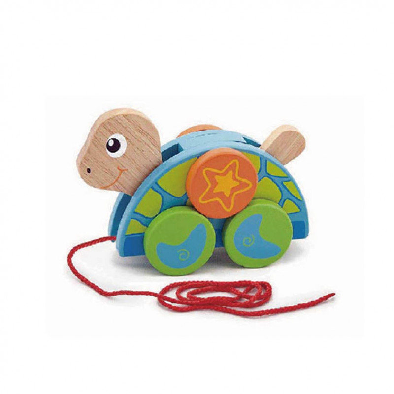 Viga-Jucarie de tras, Broscuta testoasa, Viga [5]