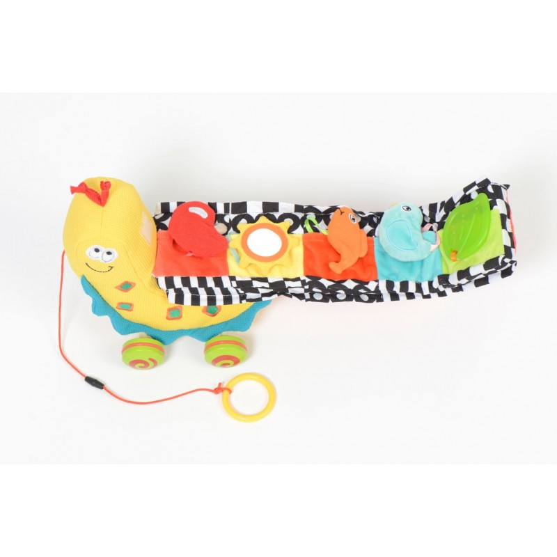 Dolce-Jucarie de tras interactiva Melc cu activitati, Dolce [3]