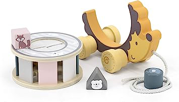 New Classic Toys Jucarie de tras roata sortator forme geometrice Arici PolarB [4]