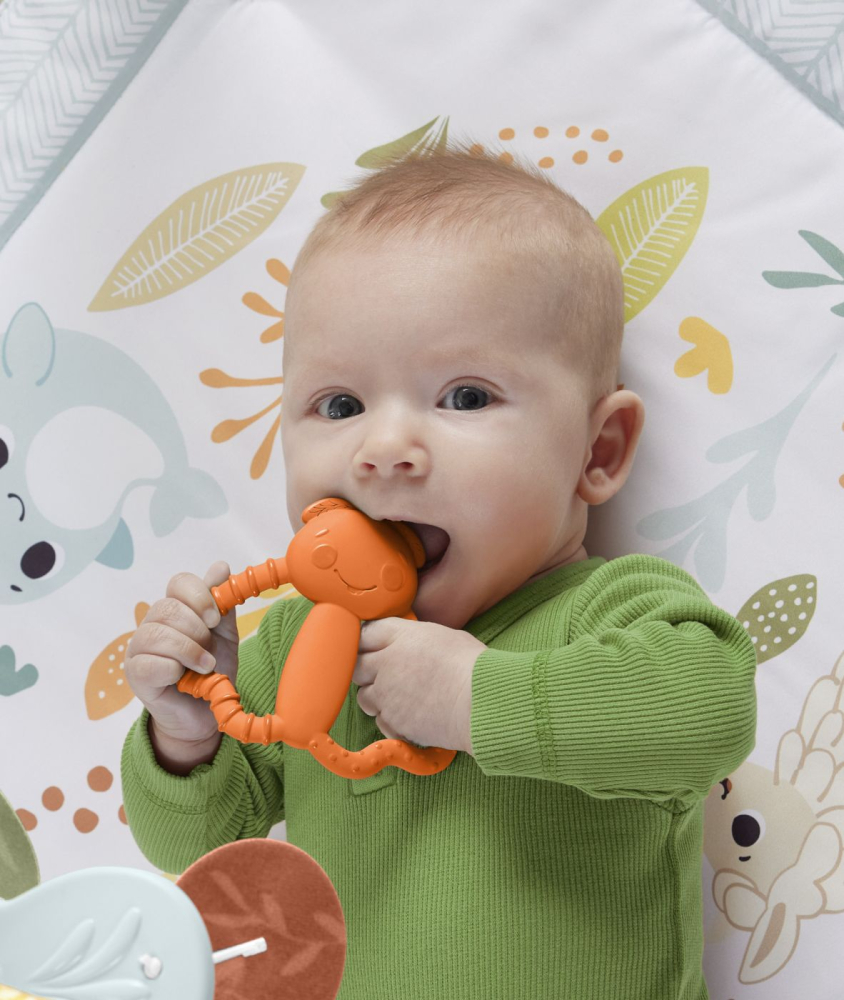 Mattel-Jucarie Dentitie Pentru Bebelusi Gandacelul Portocaliu [3]