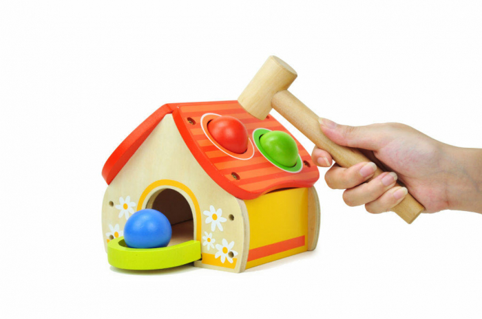 Topbright-Jucarie-dexteritate-Casuta-bilutelor [3]