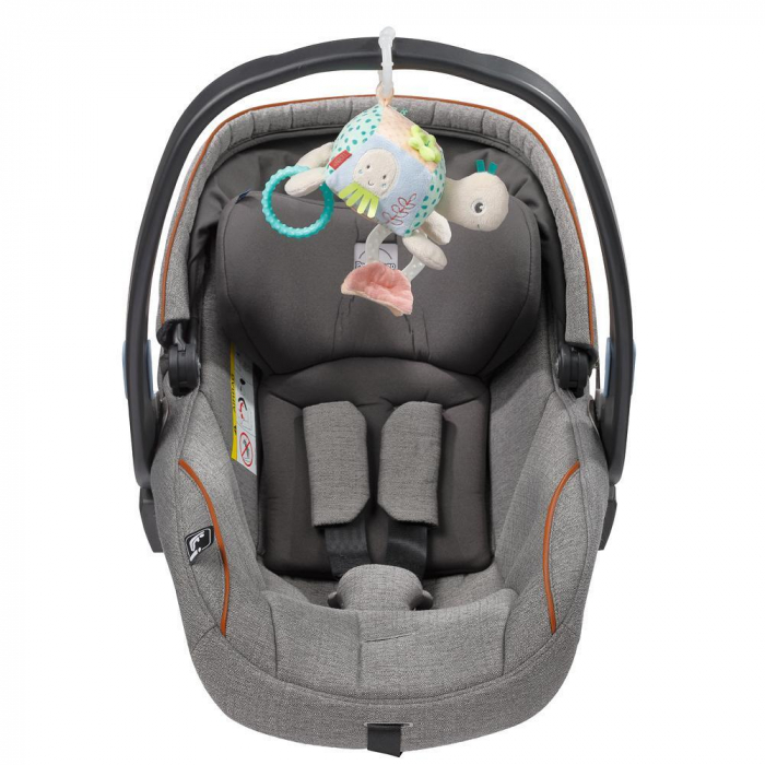 Fehn-Jucarie-dexteritate-Testoasa [6]