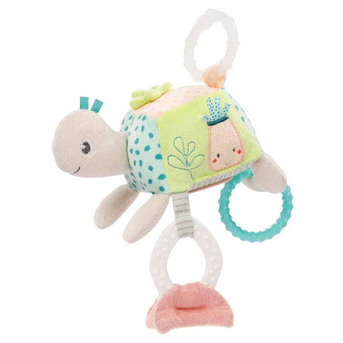 Fehn-Jucarie-dexteritate-Testoasa [3]