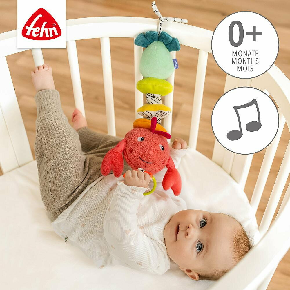 Fehn-Jucarie muzicala - Racul vesel [3]