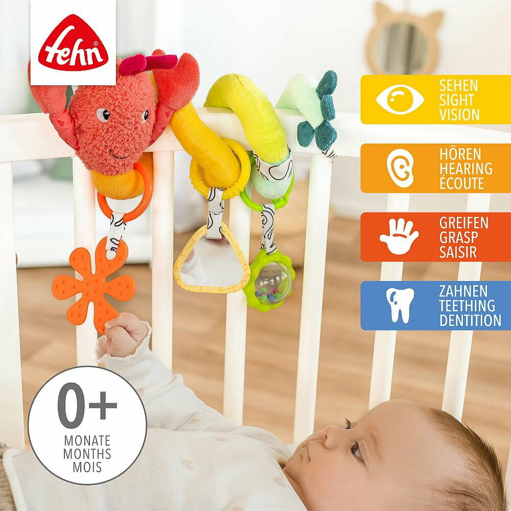 Fehn-Jucarie spirala - Racul vesel [4]