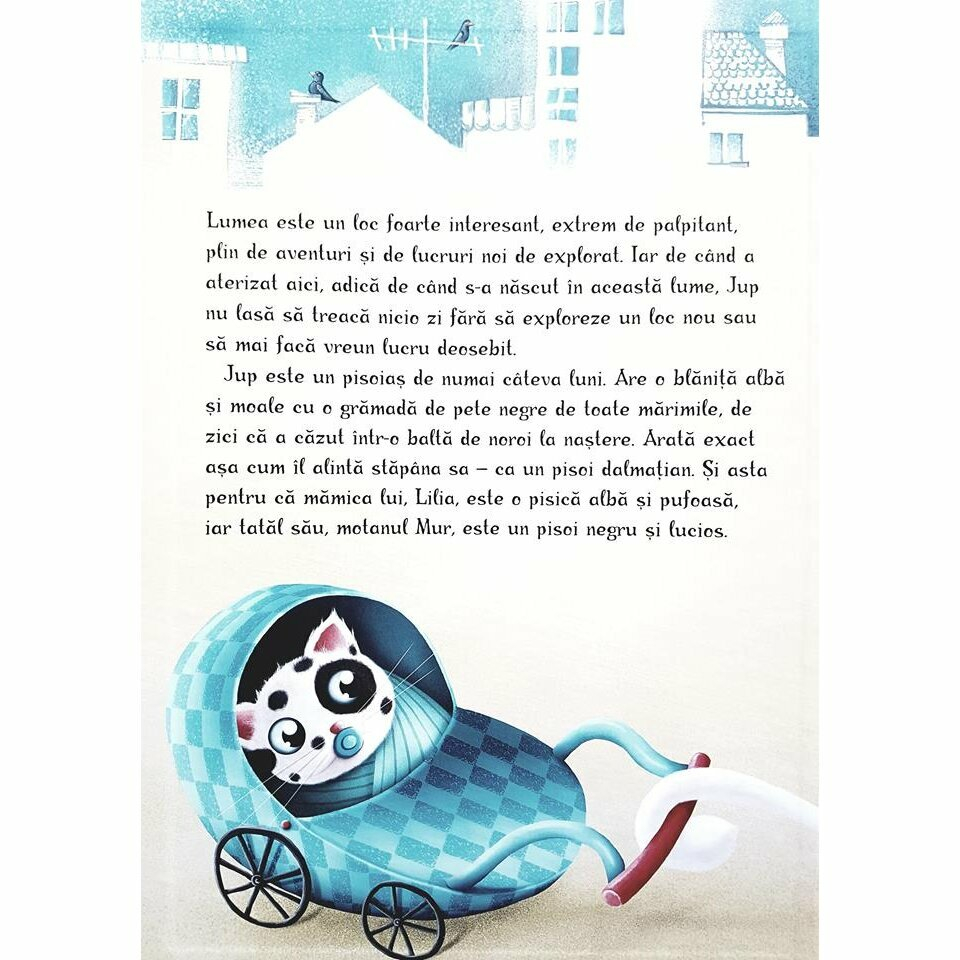 UNIVERS-Jup, un pisoi de soi - Volumul I - Jboara, Costica, jboara! [6]