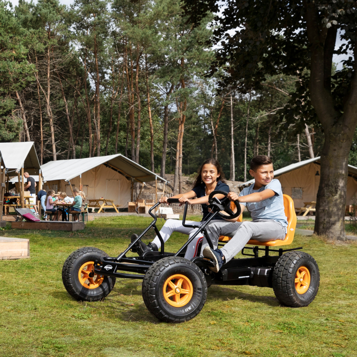 Berg Toys-Kart BERG Duo Coaster BFR [3]