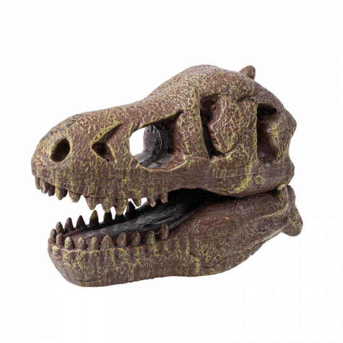Buki France Kit de sapat - Craniu T-Rex de muzeu [3]