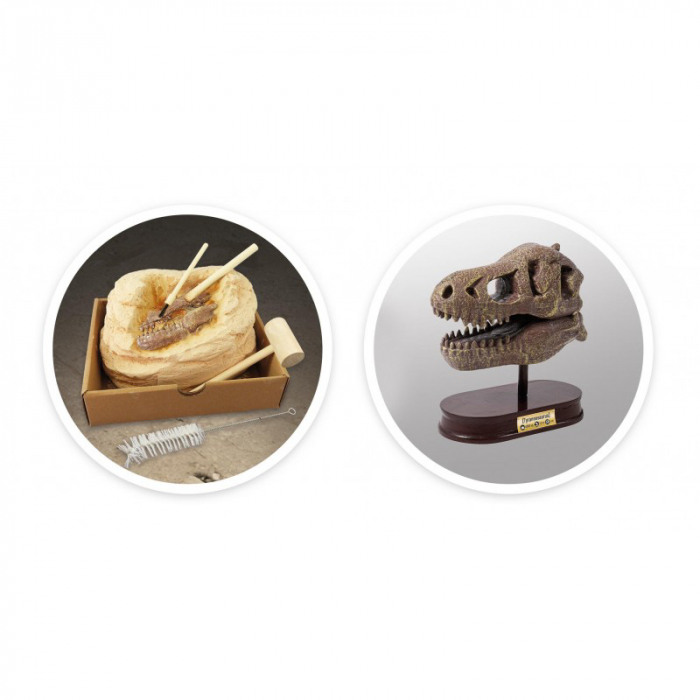 Buki France Kit de sapat - Craniu T-Rex de muzeu [6]