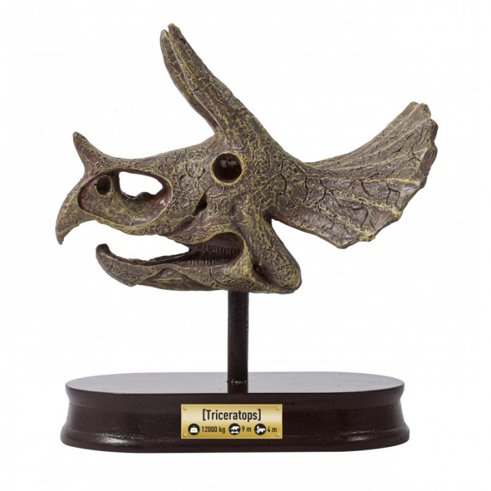Buki France Kit de sapat - Craniu Triceratops de muzeu [4]