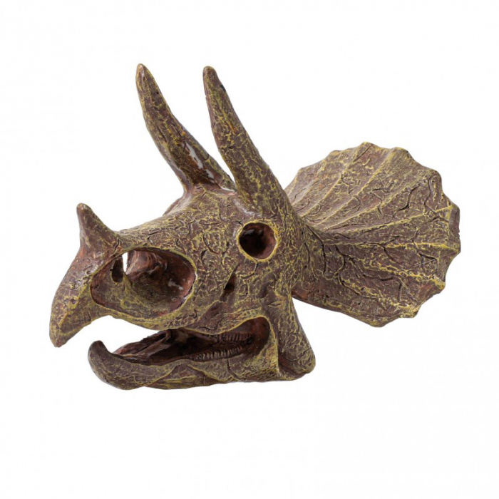 Buki France Kit de sapat - Craniu Triceratops de muzeu [3]