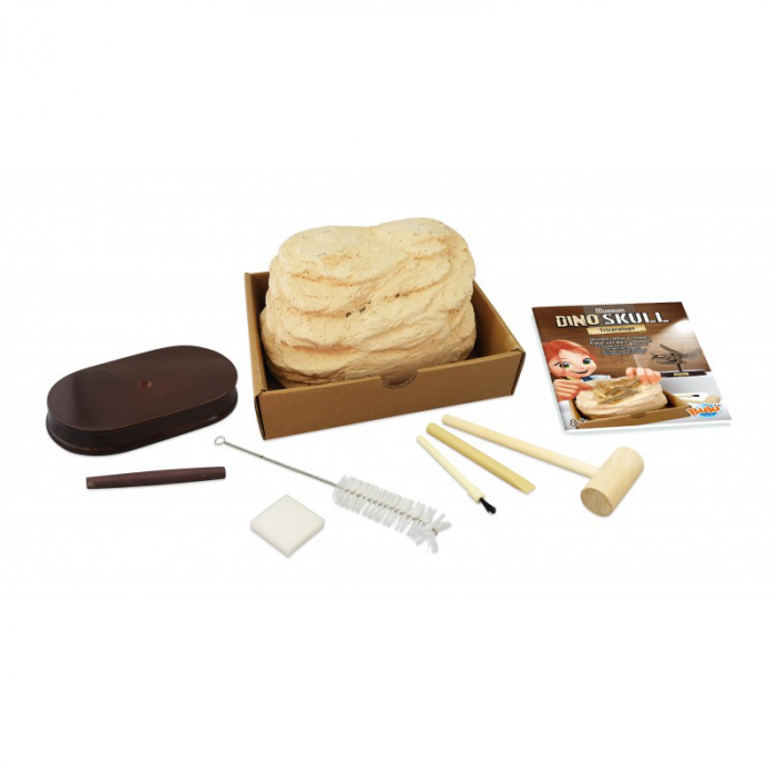 Buki France Kit de sapat - Craniu Triceratops de muzeu [2]