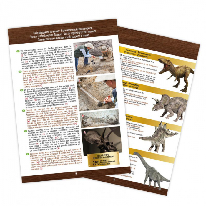 Buki France Kit de sapat - Craniu Triceratops de muzeu [5]