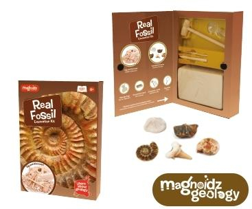 Keycraft-Kit-paleontologie-Descopera-fosile [2]