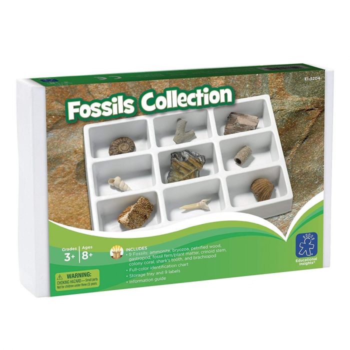 Learning-Resources-Kit-paleontologie-Fosile [2]