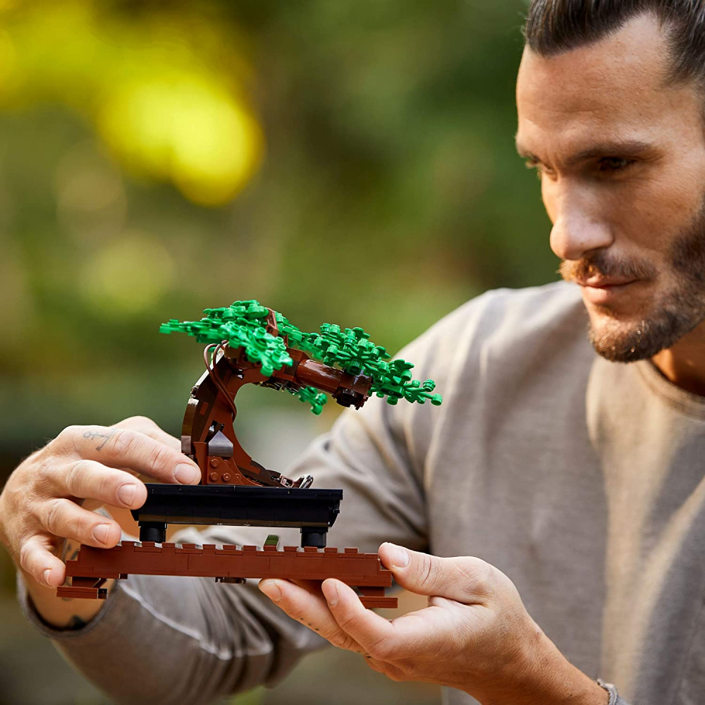 Lego Bonsai 10281 [3]