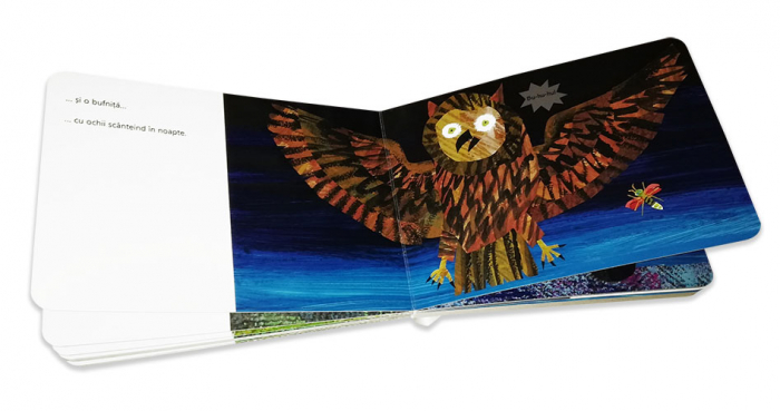Editura-Cartea-Copiilor-Licurici-isi-cauta-amici-Eric-Carle [2]