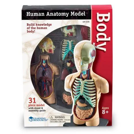 Pachet Set educativ Schelet si Corpul Uman [4]