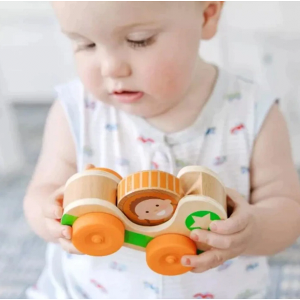Melissa & Doug-Masinuta din lemn Green Star colectia GO TOTs [7]