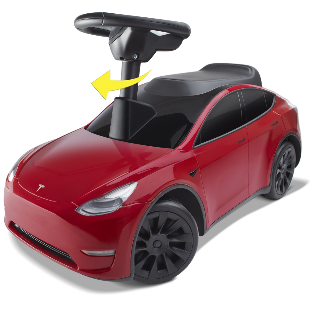 Masinuta Ride-On Radio Flyer, My First Tesla [9]
