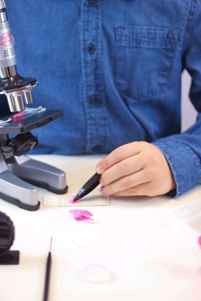Buki-France-Microscop-pentru-copii-cu-30-experimente-Set-stiinta [4]