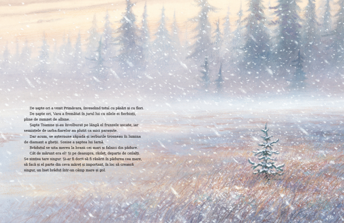 Editura Cartea Copiilor Micul brad de Margaret Wise Brown ilustratii de Jim LaMarche [3]