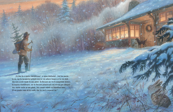 Editura Cartea Copiilor Micul brad de Margaret Wise Brown ilustratii de Jim LaMarche [5]