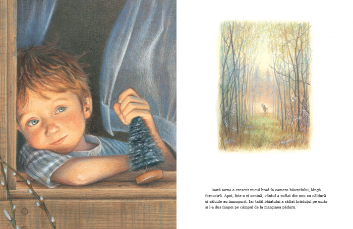 Editura Cartea Copiilor Micul brad de Margaret Wise Brown ilustratii de Jim LaMarche [8]