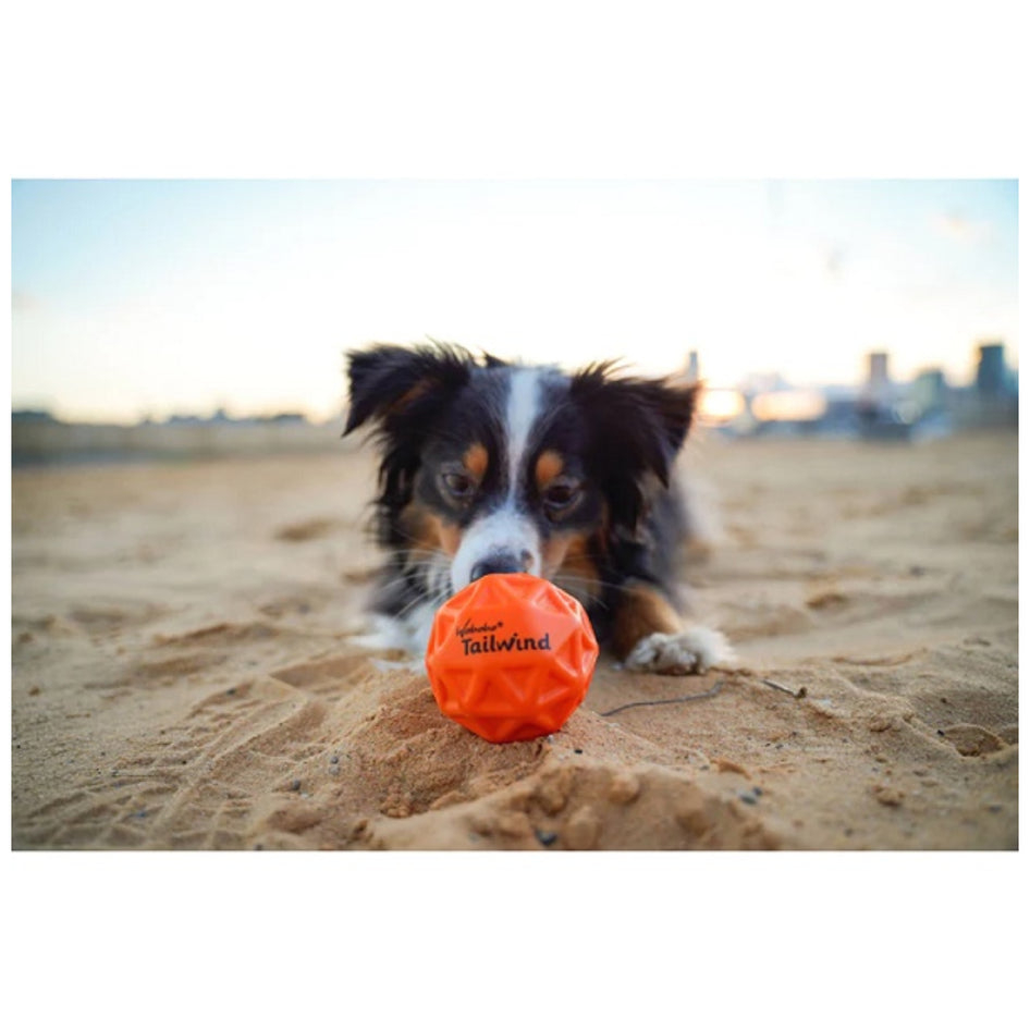 Minge hiper saritoare pentru caini - Waboba Tailwind [2]