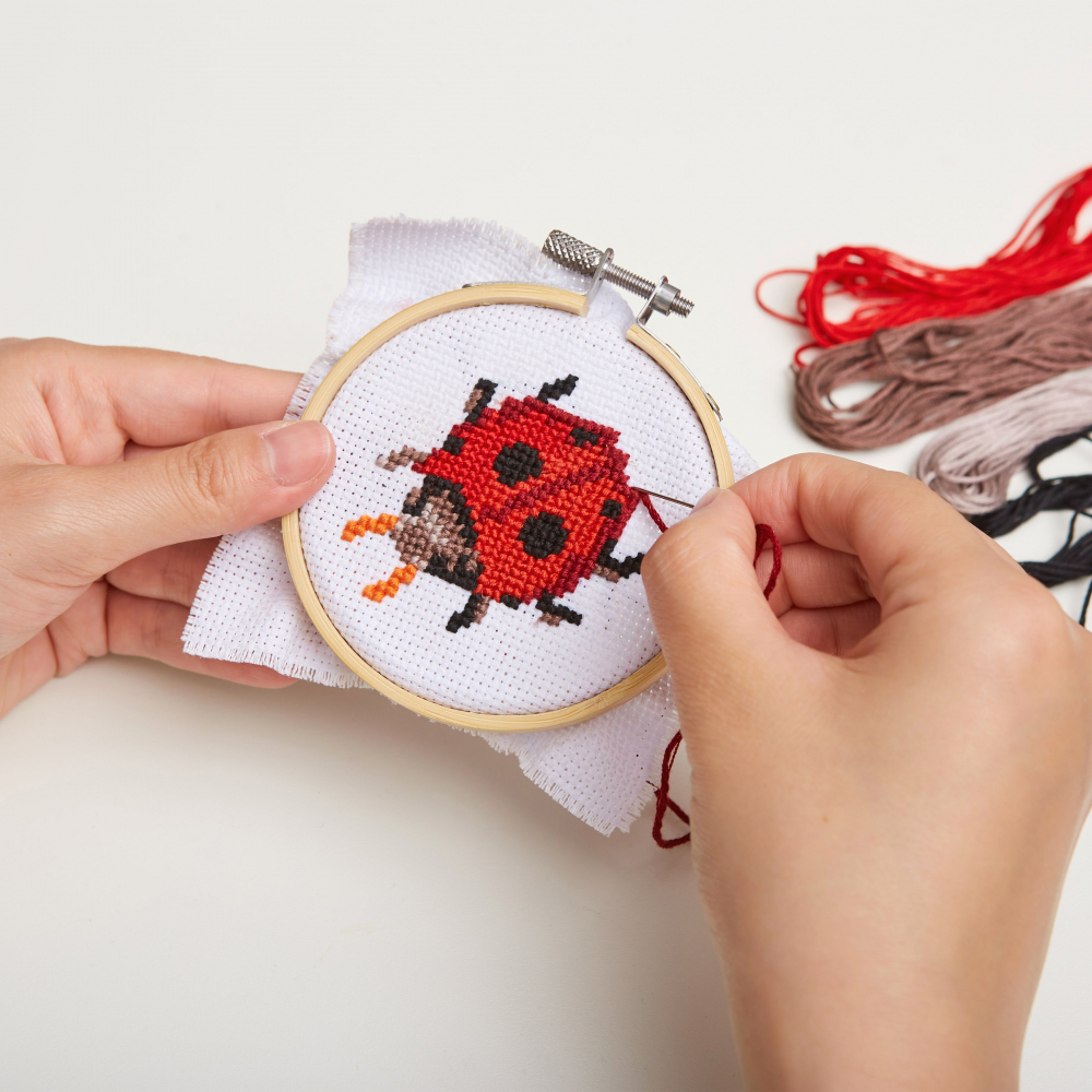 Mini Set de Broderie in Cruciulita – Buburuza [3]