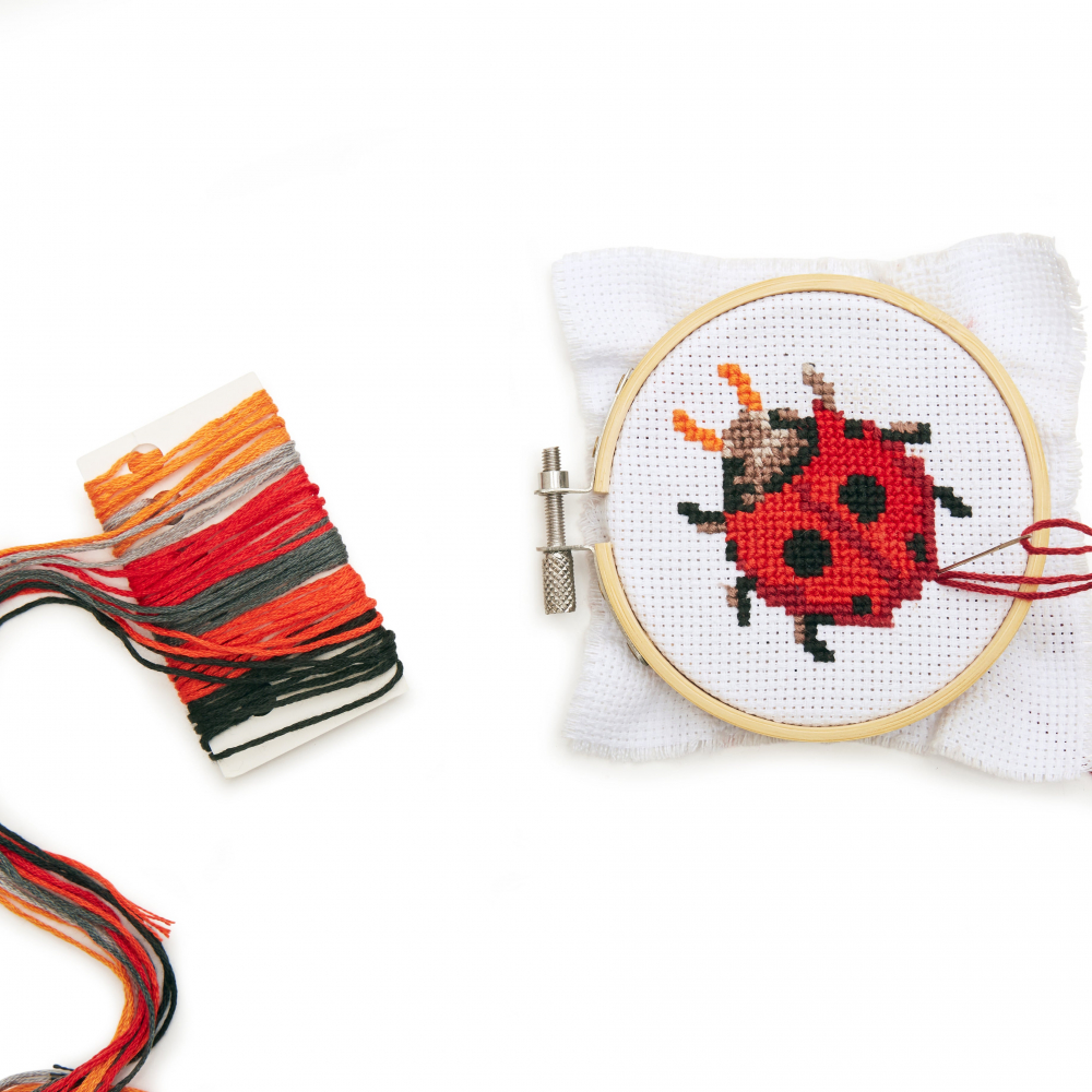 Mini Set de Broderie in Cruciulita – Buburuza [2]