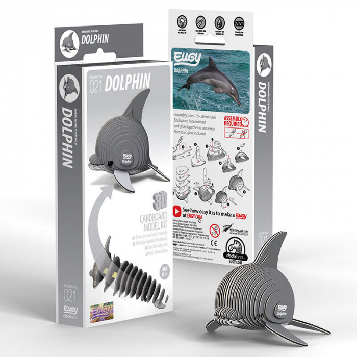 Brainstorm-Model 3D - Delfin [1]