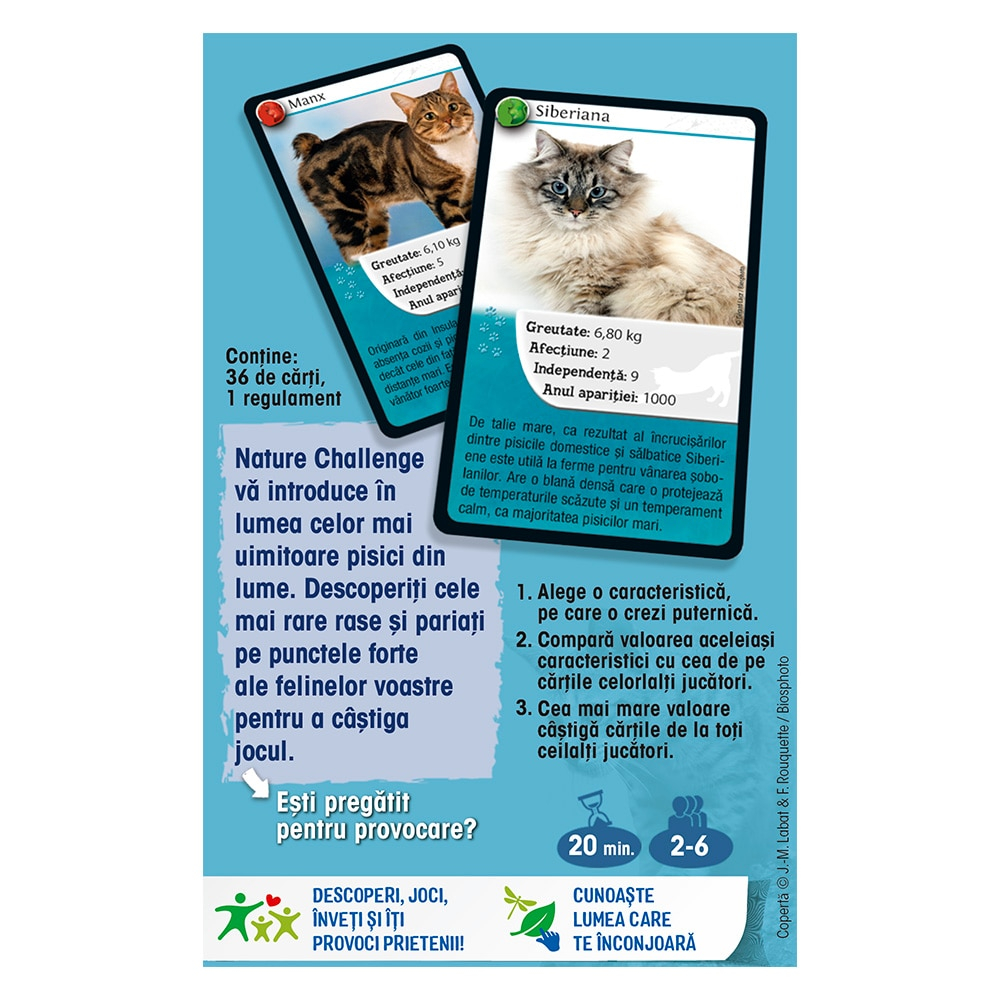 Nature Challenge: Pisici [1]