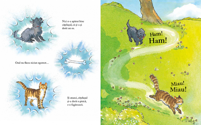 Editura Cartea Copiilor Nitelus Spiridus - de Julia Donaldson ilustratii de Anna Currey [7]