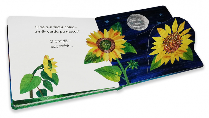 Editura-Cartea-Copiilor-Noapte-frumoasa-omida-mancacioasa-Eric-Carle [5]