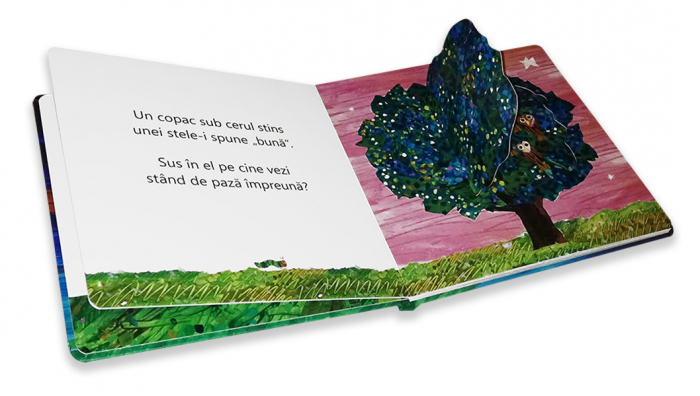 Editura-Cartea-Copiilor-Noapte-frumoasa-omida-mancacioasa-Eric-Carle [2]
