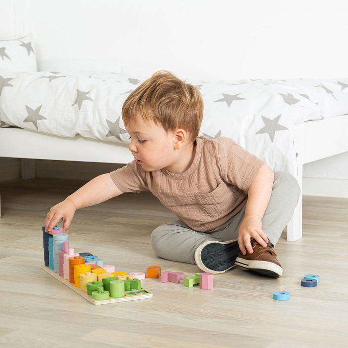 BIGJIGS Toys-Numaratoare cu discuri si forme geometrice [6]