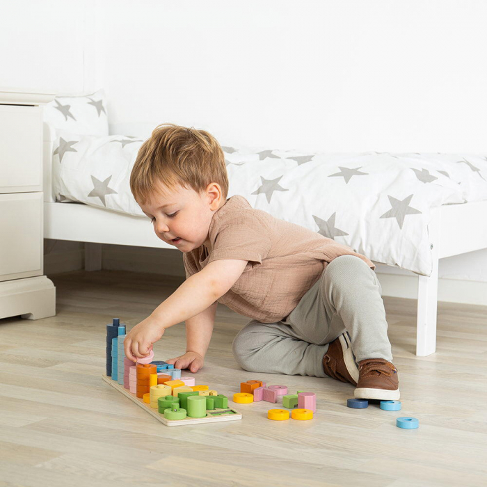 BIGJIGS Toys-Numaratoare cu discuri si forme geometrice [4]