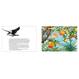 Portocala Albastra-Oul soarelui ├ö├ç├┤ Elsa Beskow [3]