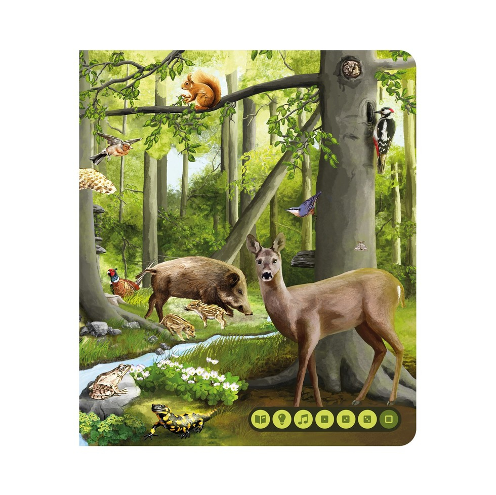 Pachet Raspundel Istetel, creion si carte Lumea animalelor [4]