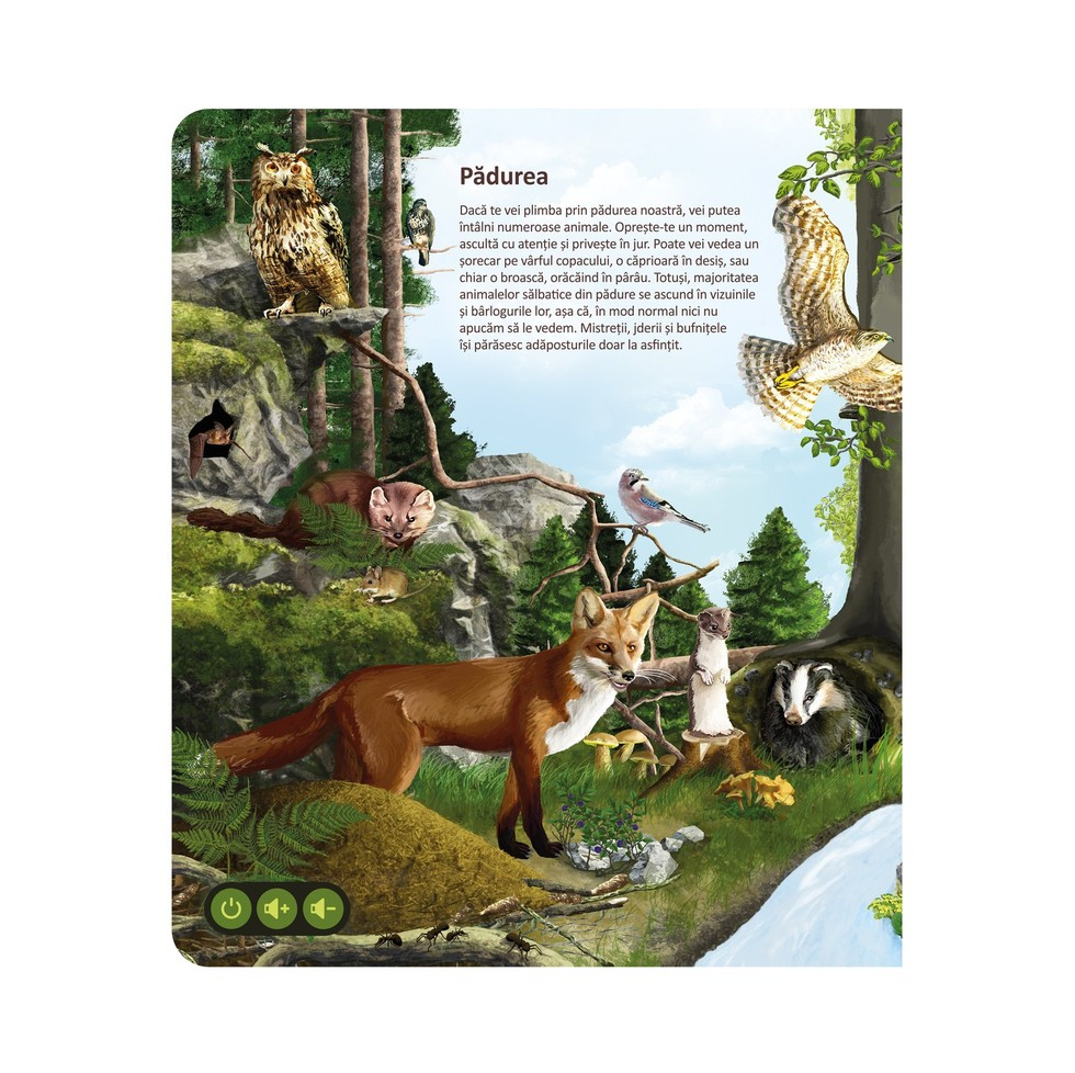 Pachet Raspundel Istetel, creion si carte Lumea animalelor [3]