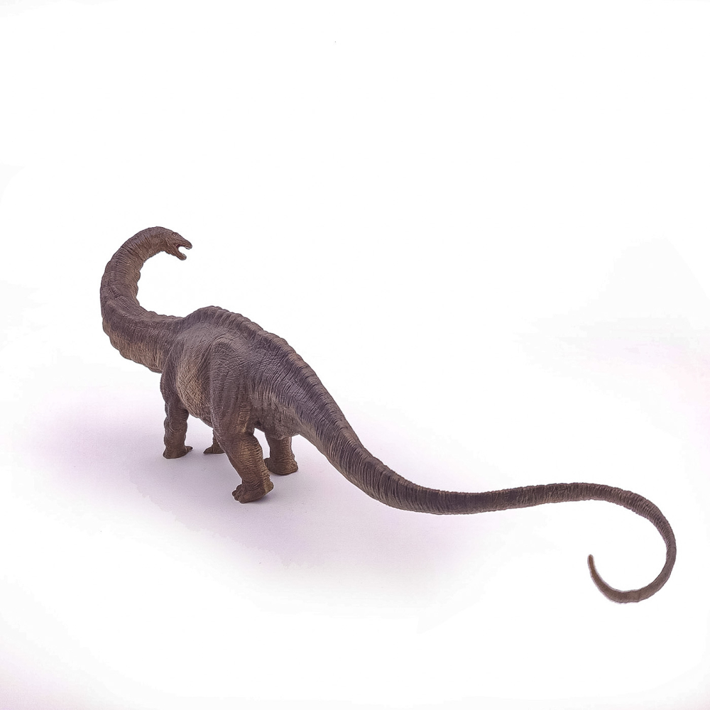Papo-Papo Figurina Apatosaurus Dinozaur [3]
