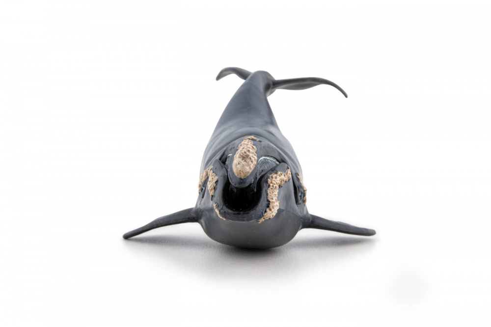 Papo Figurina Balena [5]