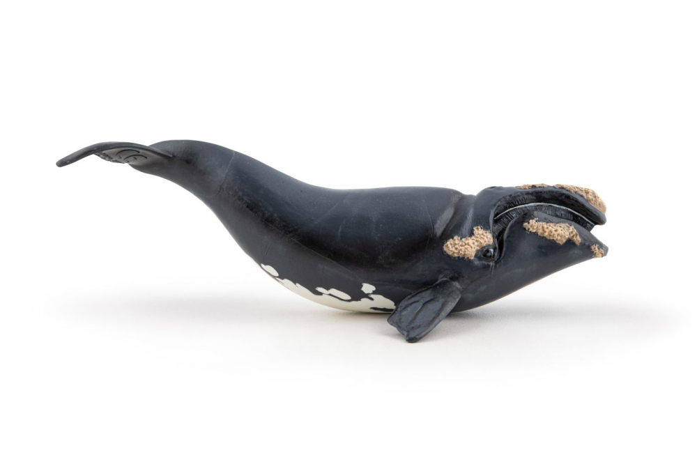 Papo Figurina Balena [3]