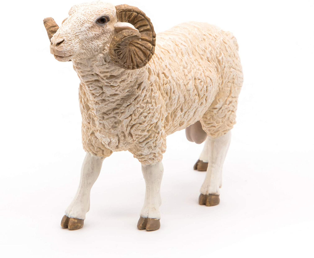 Papo Figurina Berbec [3]