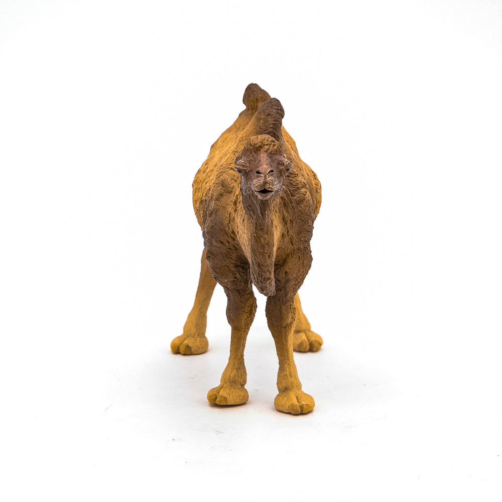 Papo Figurina Camila Bactriana [5]