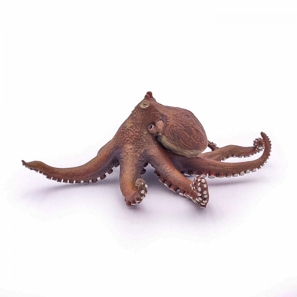 Papo Figurina Caracatita [5]