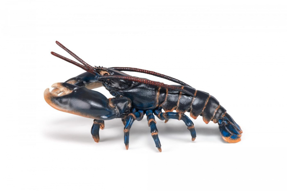 Papo Figurina Homar [6]
