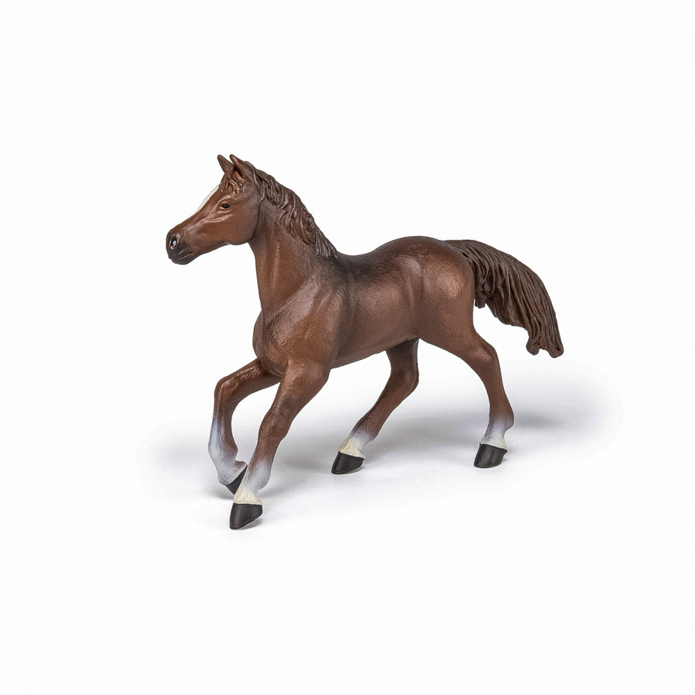 Papo Figurina Iapa Anglo-Araba [3]